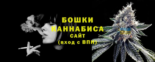 дурь Осташков
