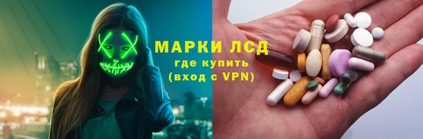 стафф Осинники