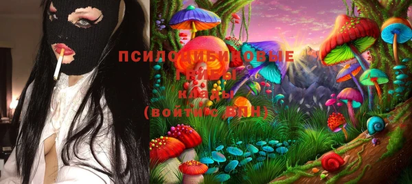 стафф Осинники