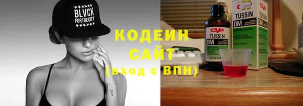 дурь Осташков