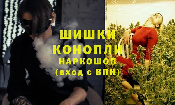 дурь Осташков