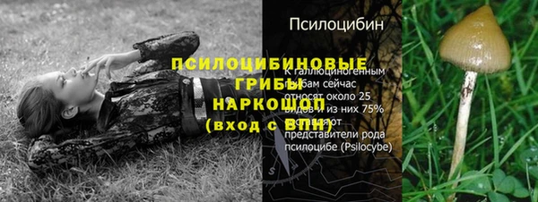 дурь Осташков