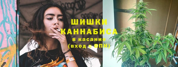 стафф Осинники