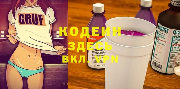 дурь Осташков
