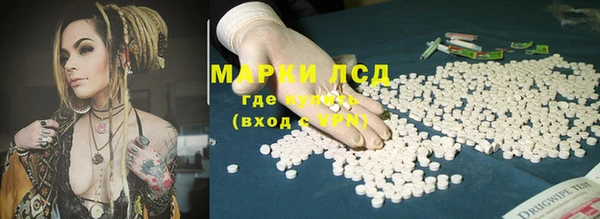стафф Осинники