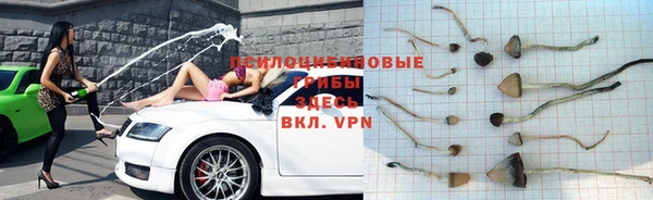 стафф Осинники