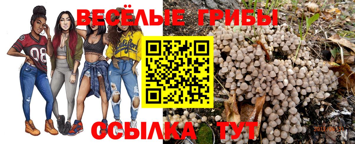 Ржев  Галлюциногенные грибы прущие грибы  Псилоцибиновые грибы Psilocybe  закладки  Вход с VPN 